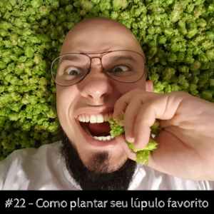 Como plantar seu lúpulo favorito