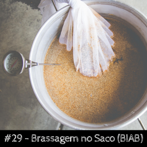 Brassagem no Saco (BIAB)