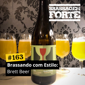 Brassando com Estilo: Brett Beer