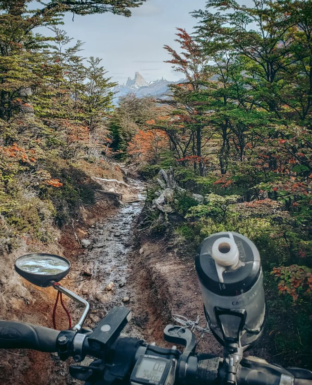 Foto de um caminho super estreito por uma floresta de terra, abaixo se vê o topo de uma bicicleta