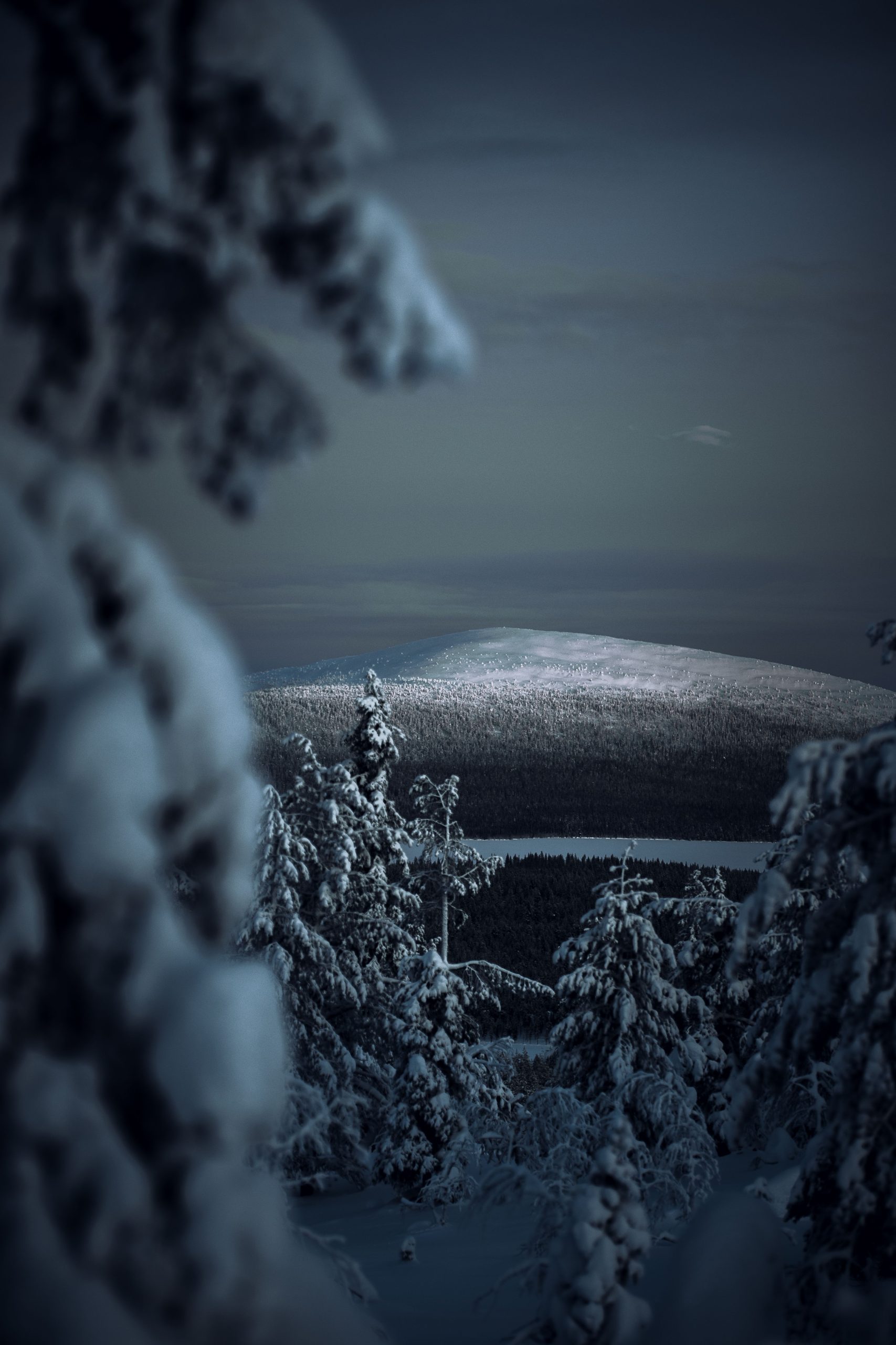 Foto do inverno finlandes
