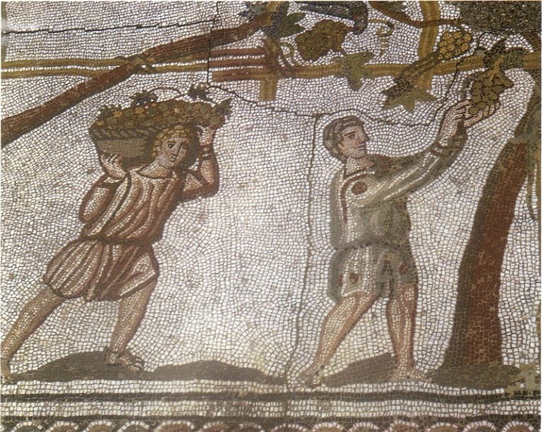 ilustração antiga de gregos e romanos colhendo uvas para fazer vinho