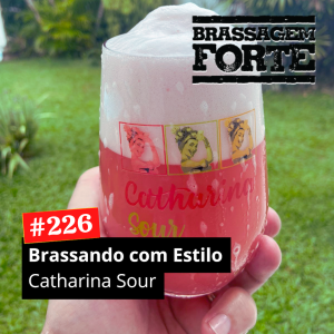 Brassando com Estilo: Catharina Sour