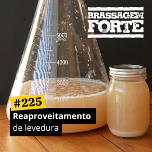 Reaproveitamento de leveduras