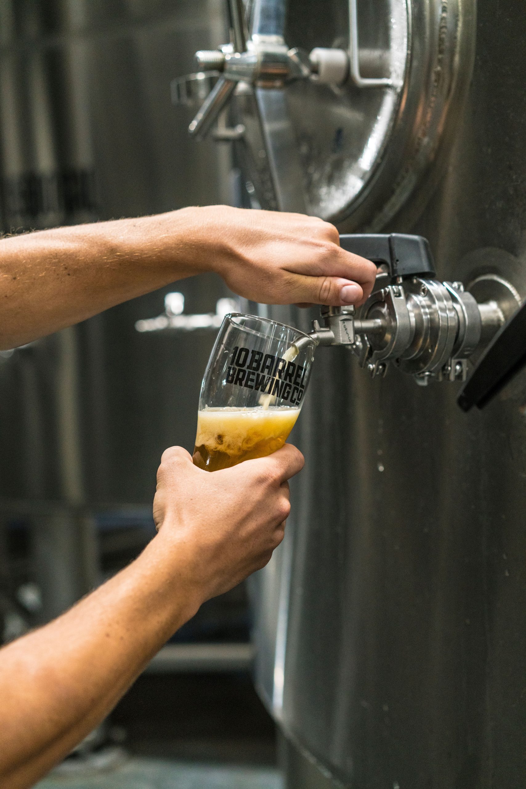 imagem de apoio estilos cervejeiros