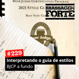 Interpretando o Guia de Estilos: BJCP a fundo