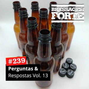 Perguntas e Respostas Vol. 13