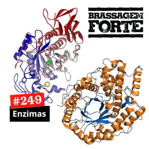 Enzimas
