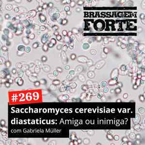 Saccharomyces cerevisiae var. diastaticus: amiga ou inimiga?