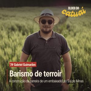 Barismo de terroir