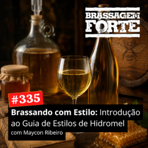 Brassando com Estilo: Introdução ao Guia de Estilos de Hidromel
