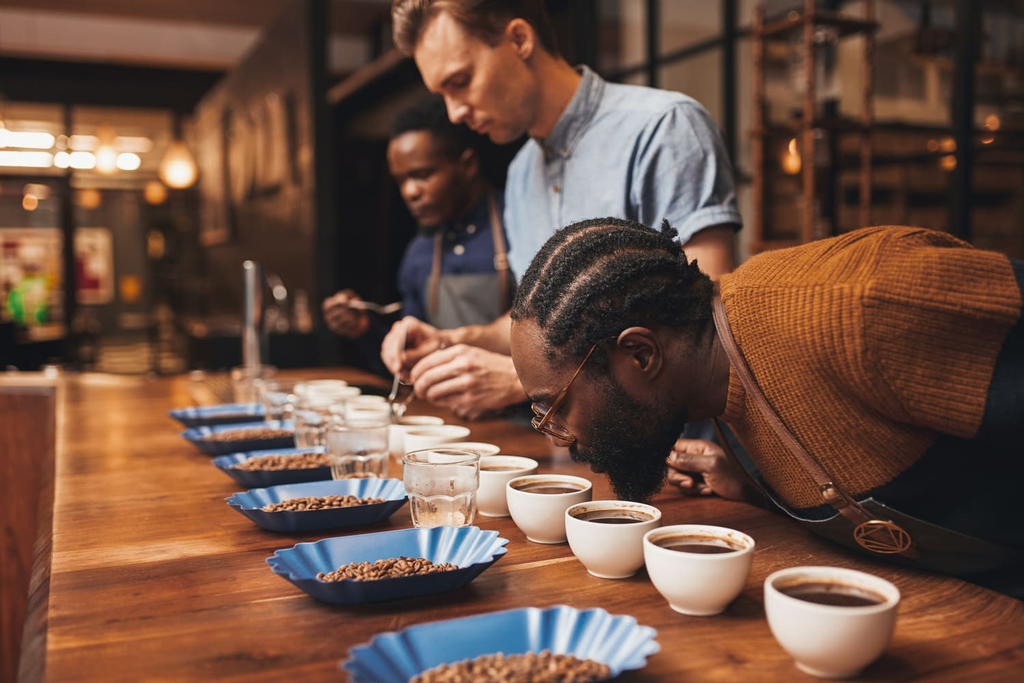 Avaliação Sensorial de Cafés